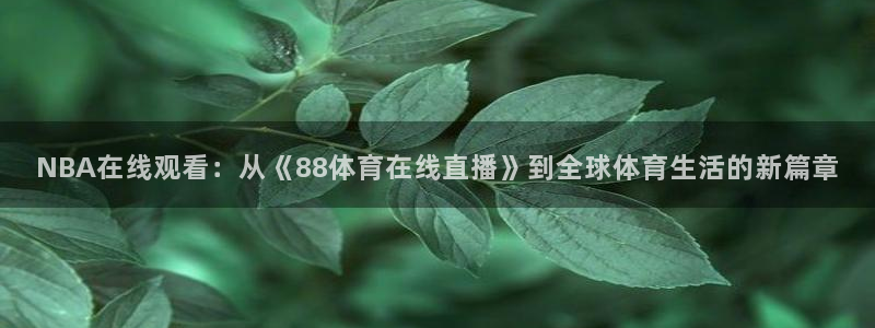 蜘蛛直播nba在线观看