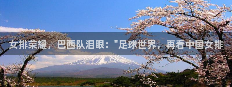 蜘蛛体育官网入口：女排荣耀，巴西队泪眼：\