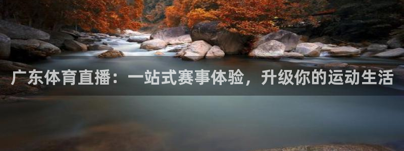 蜘蛛体育直播app下载官网：广东体育直播：一站式赛事体验，升级你的运动生活
