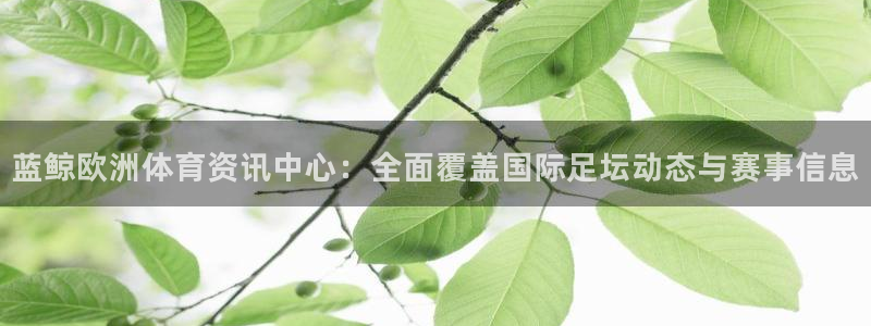美女直播nba直播蜘蛛侠：蓝鲸欧洲体育资讯中心：全面覆盖国际足坛动态与赛事信息