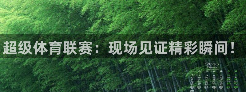 蜘蛛直播体育免费观看：超级体育联赛：现场见证精彩瞬间！