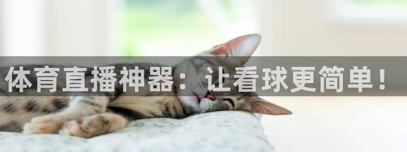 蜘蛛体育nba