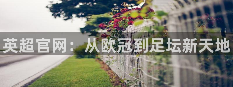 蜘蛛直播 nba：英超官网：从欧冠到足坛新天地