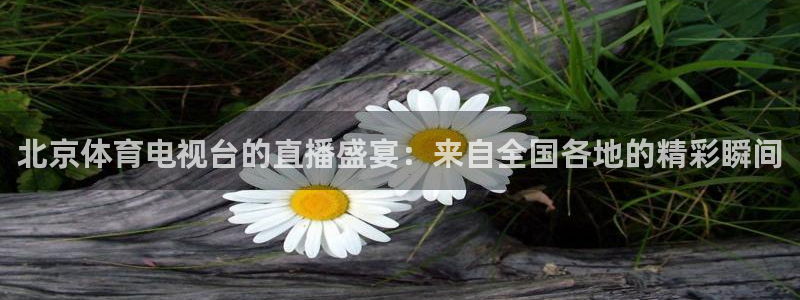 nba蜘蛛免费直播：北京体育电视台的直播盛宴：来自全国各地的精彩瞬间
