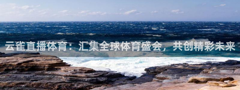 nba直播免费观看直播在线蜘蛛直播：云雀直播体育：汇集全球体育盛会，共创精彩未来