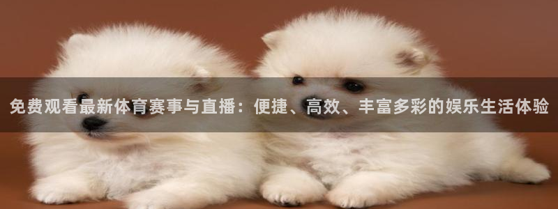 蜘蛛体育可可：免费观看最新体育赛事与直播：便捷、高效、丰富多彩的娱乐生活体验