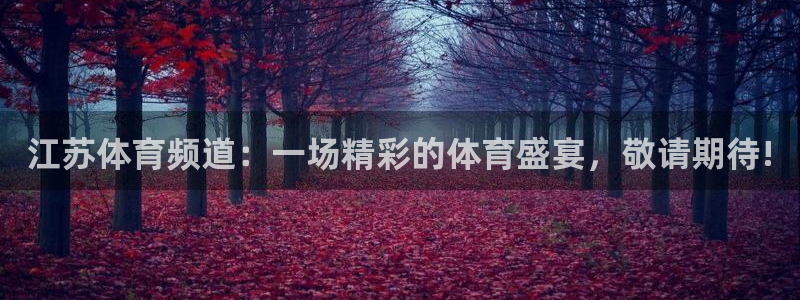nba直播蜘蛛：江苏体育频道：一场精彩的体育盛宴，敬请期待!