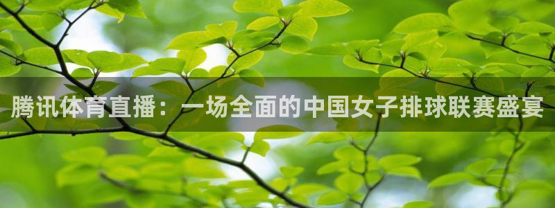 蜘蛛体育免费直播nba：腾讯体育直播：一场全面的中国女子排球联赛盛宴
