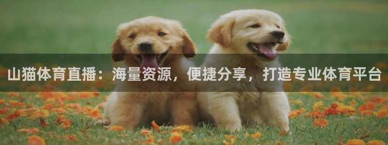 蜘蛛nba免费直播在线观看高清：山猫体育直播：海量资源，便捷分享，打造专业体育平台