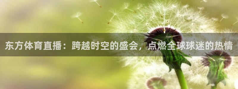 蜘蛛直播高清体育免费下载：东方体育直播：跨越时空的盛会，点燃全球球迷的热情